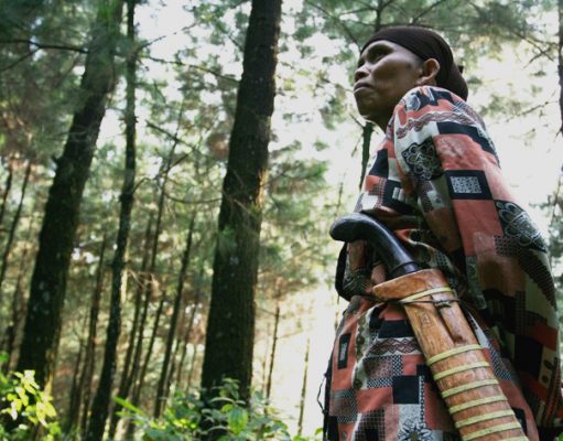 Perempuan Pencari Kayu Bakar